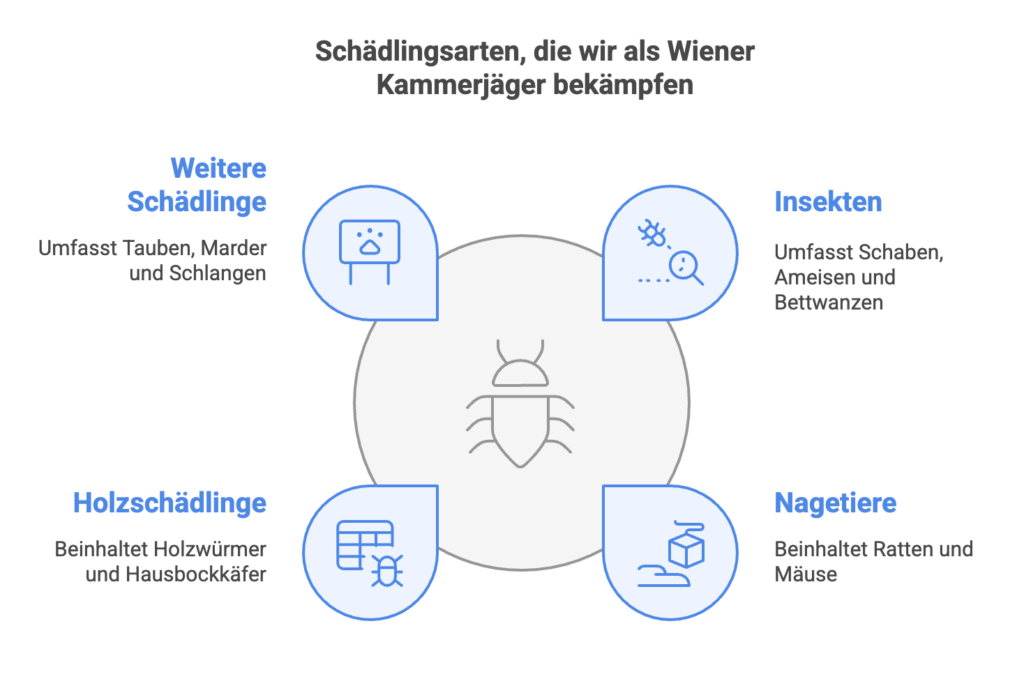 Schädlingsarten die wir als Wiener Kammerjäger bekämpfen